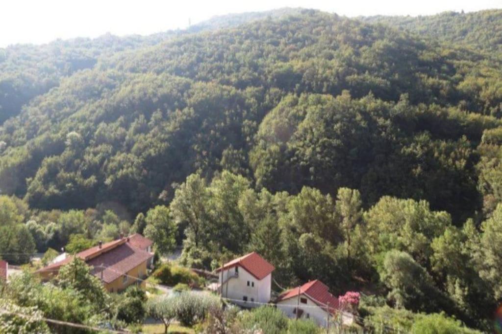Villa Il Non Ti Scordar Di Me Valbravenna Exterior foto